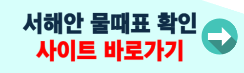 서해안 물때표 시간 확인 사이트