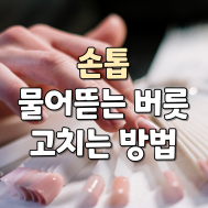 썸네일 입니다.