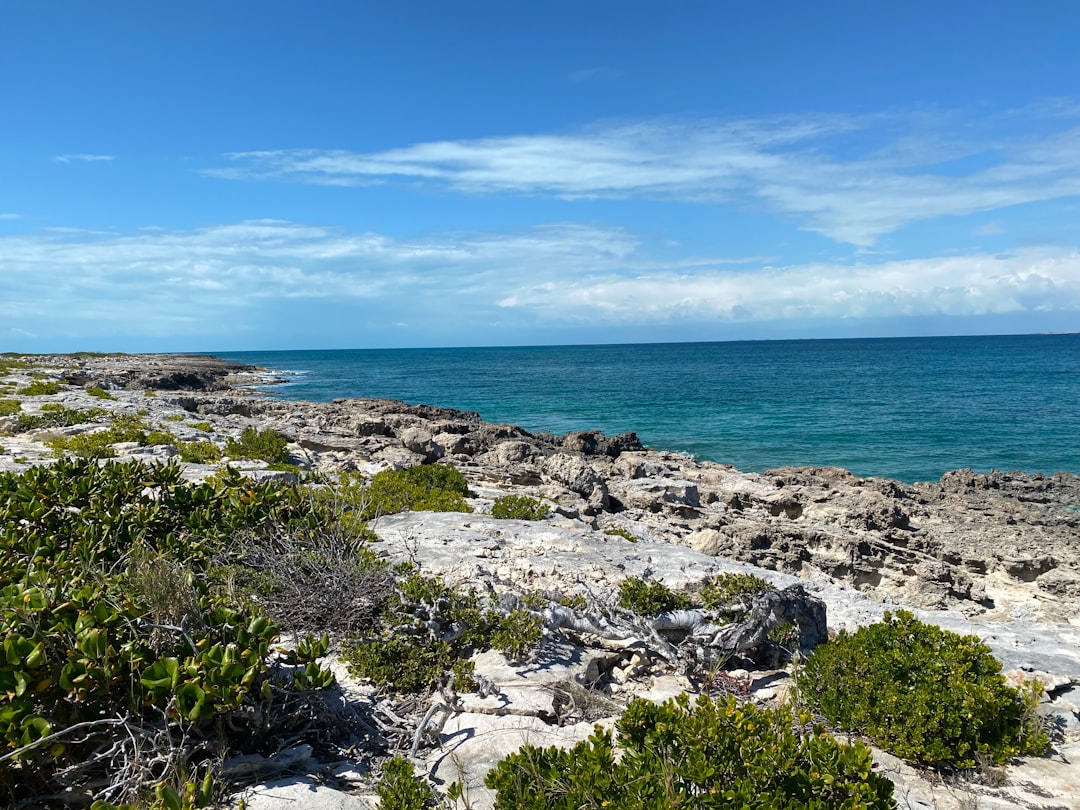 Rocky shore