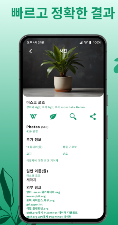 약초인식-카메라앱-화면사진4