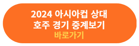 8강전 호주 경기 하이라이트