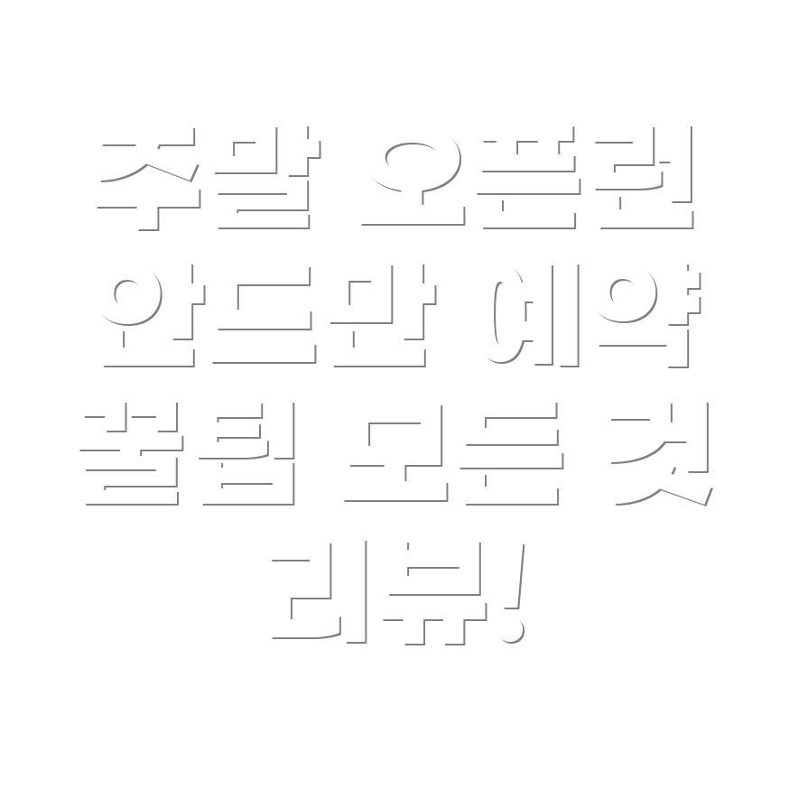오픈런 후기