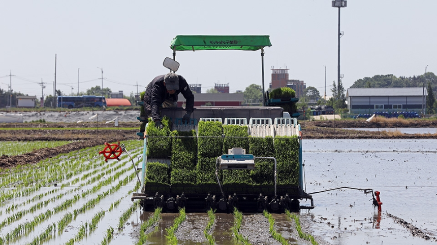 계절의 변화를 세분화한 24 절기 중 '소만' 이해하기