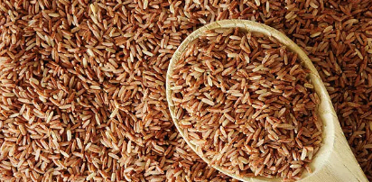 현미 이미지사진