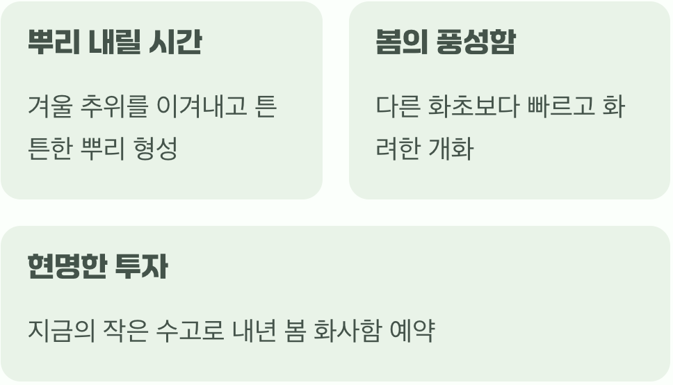 왜 하필 지금, 가을에 꽃을 심어야 할까?