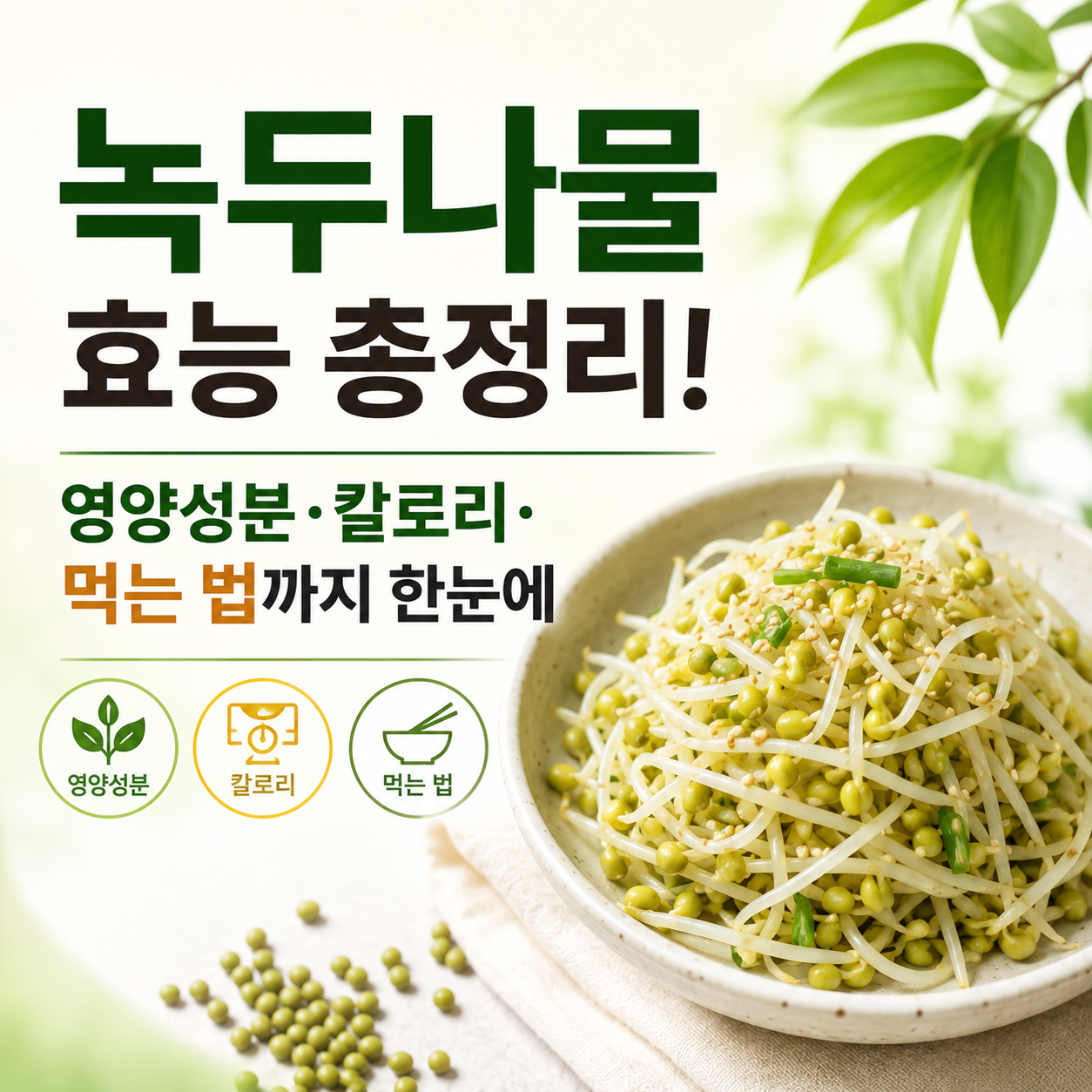 녹두나물 효능