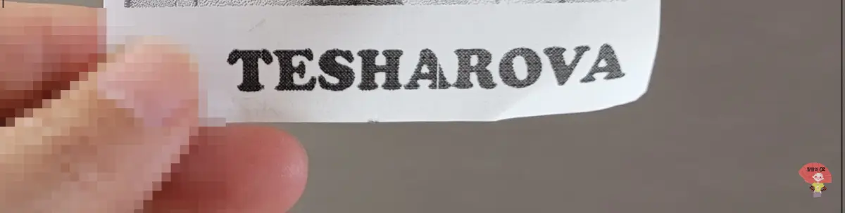 강원도-홍천-카페-테샤로바-프리-포토-존에서-찍은-사진-인증샷