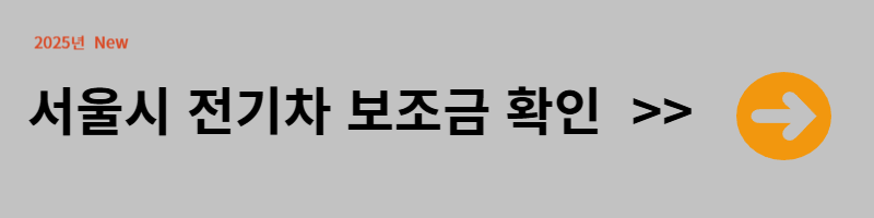 전기차 보조금