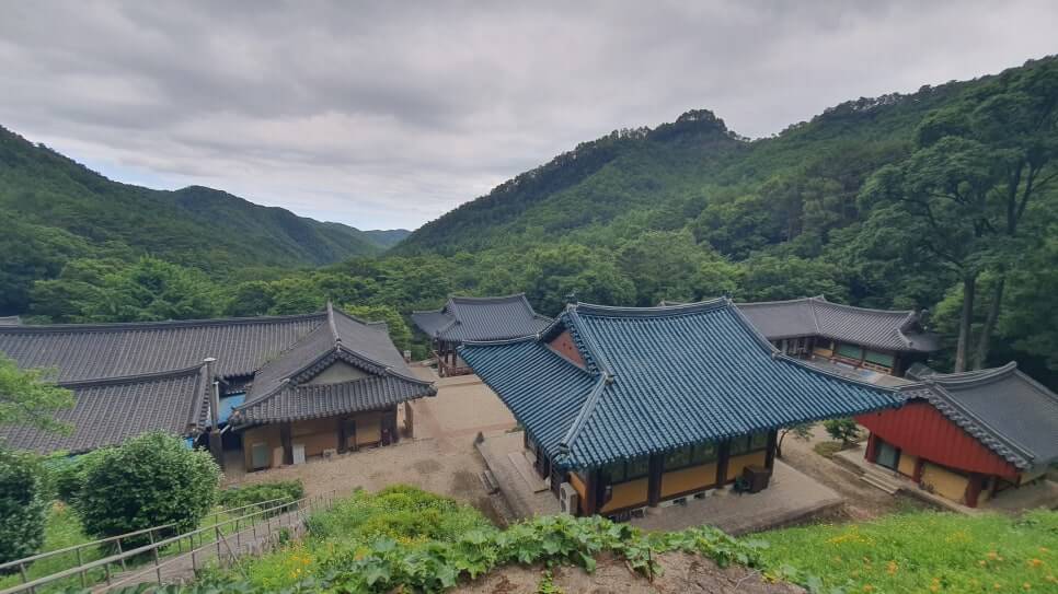 삼척 천은사 : 인도에서 두타의 세 신선이 흰 연꽃을 가지고 와서 창건