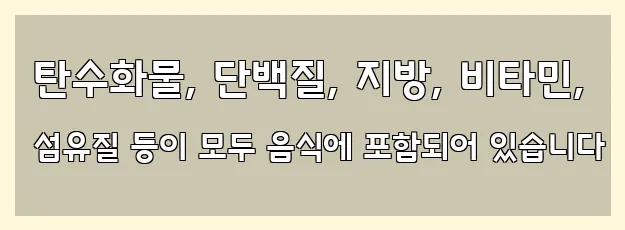  탄수화물, 단백질, 지방, 비타민, 섬유질 등이 모두 음식에 포함되어 있습니다