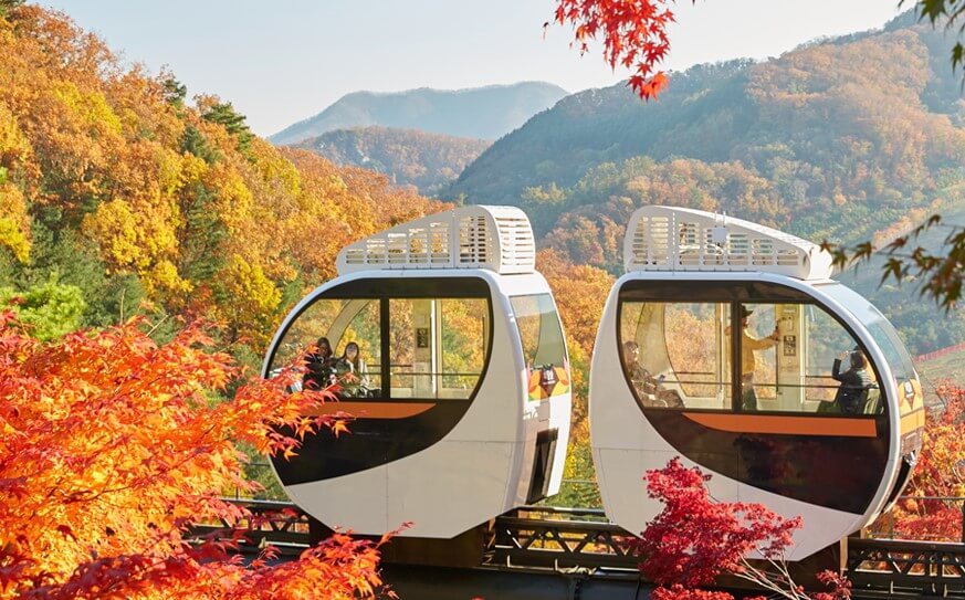 화담숲 가을 단풍축제가 11월 15일까지 한달간 진행합니다.