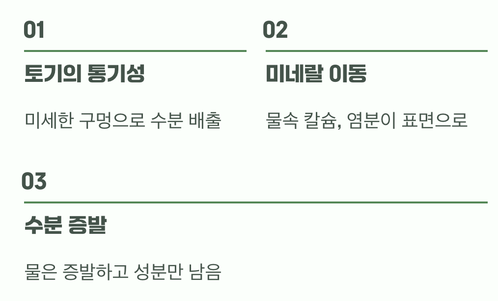 왜 내 화분에만 이런 자국이 생길까?