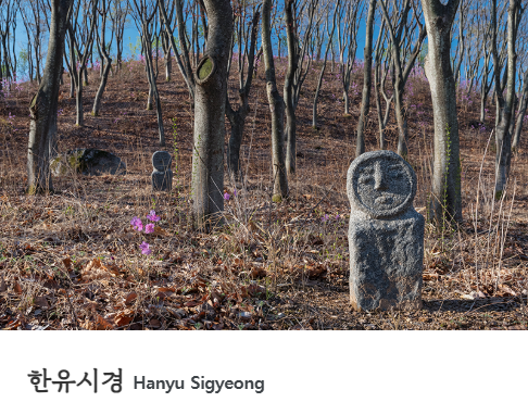 대구 군위 사유원 관람 예약