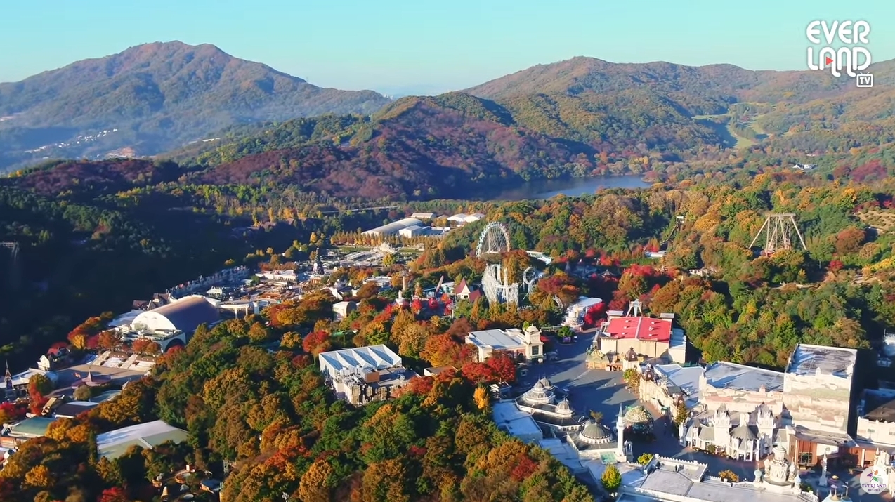 할로윈데이 행사