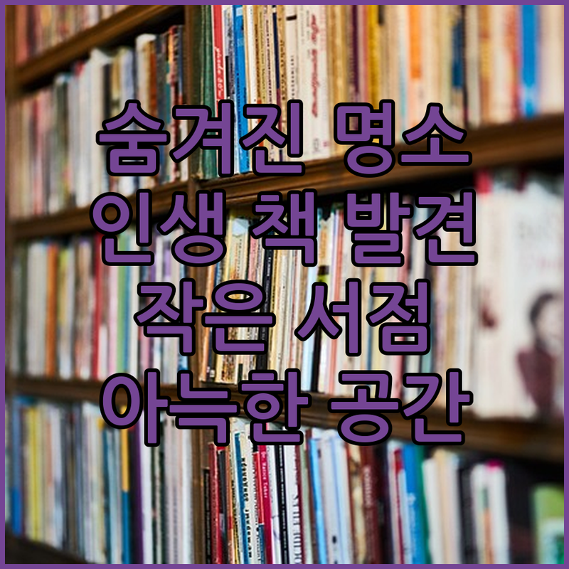 숨겨진 명소! 국내 작은 서점, 아늑