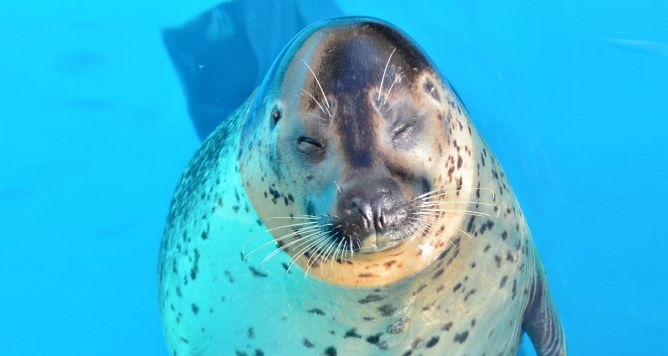 2024년 후쿠오카 여행 코스 추천 시내 시외 쇼핑 여행 코스