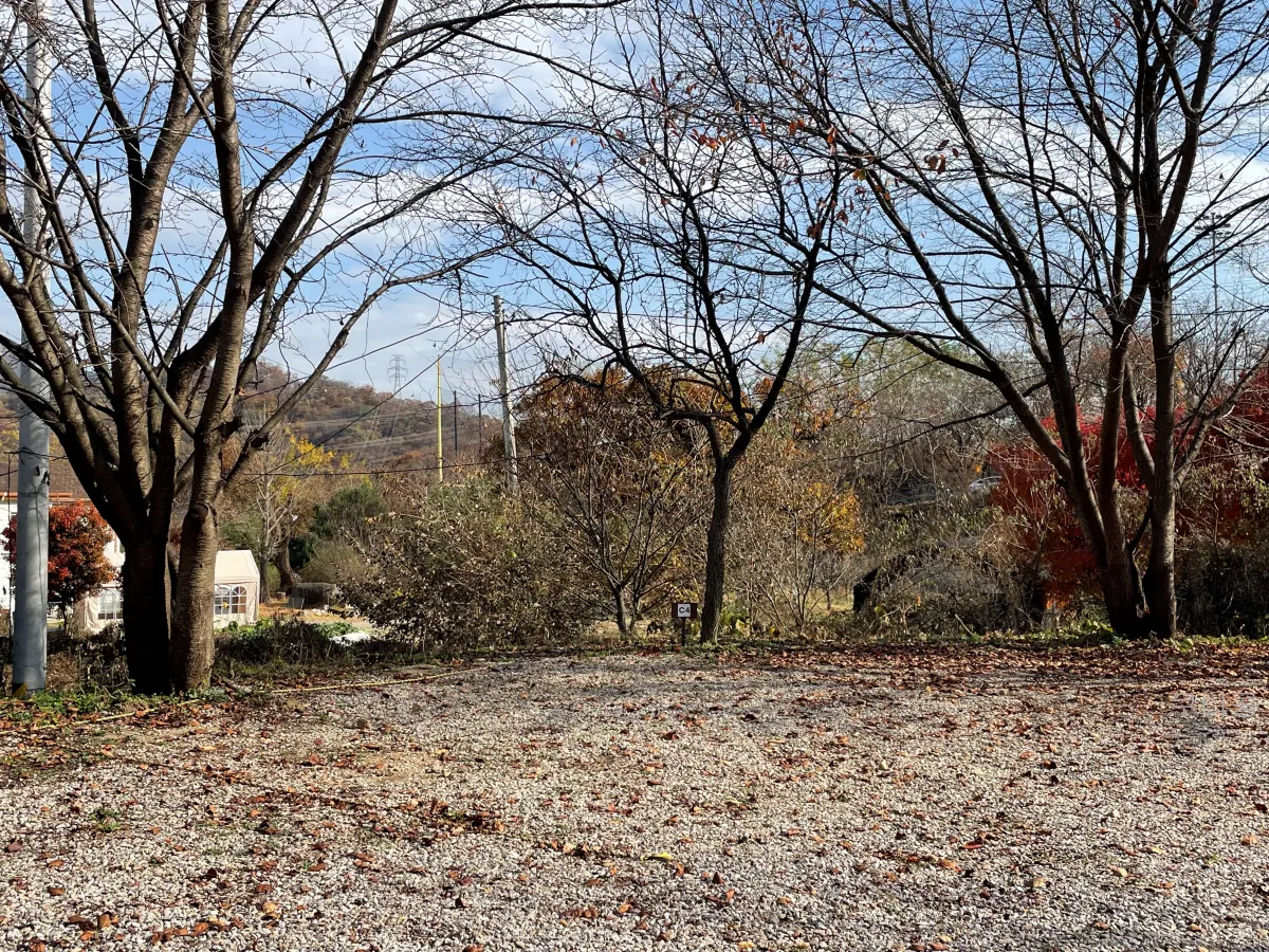 경기도-양주-새로-오픈한-봄이오는캠프-사이트별-사진-및-특징-정리(가족캠핑-2박후기)