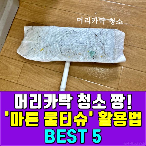 머리카락 청소 마른 물티슈 활용법 청소팁, 집안일팁, 팁줌 매일꿀정보