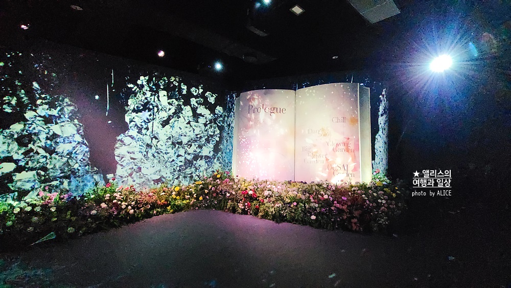 플라워바이네이키드 홍대 놀거리 입장료 23% 할인예매방법, 즐기는 꿀팁 네가지