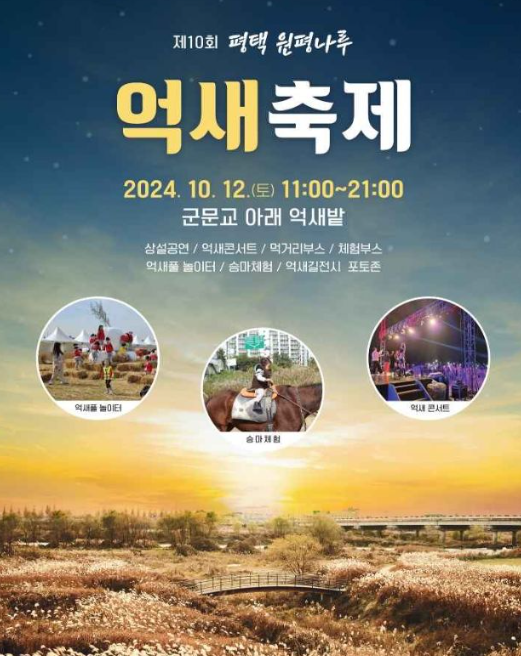 가을나들이 명소 , 억새꽃 명소