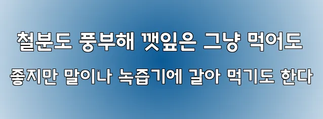  철분도 풍부해 깻잎은 그냥 먹어도 좋지만 말이나 녹즙기에 갈아 먹기도 한다
