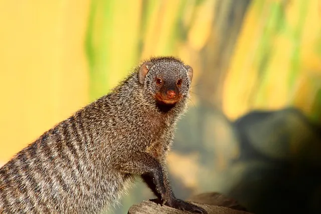영풍문고 인터넷서점 바로가기 도서 할인 구매_6