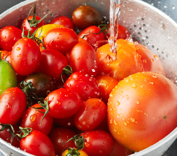 토마토-보관방법