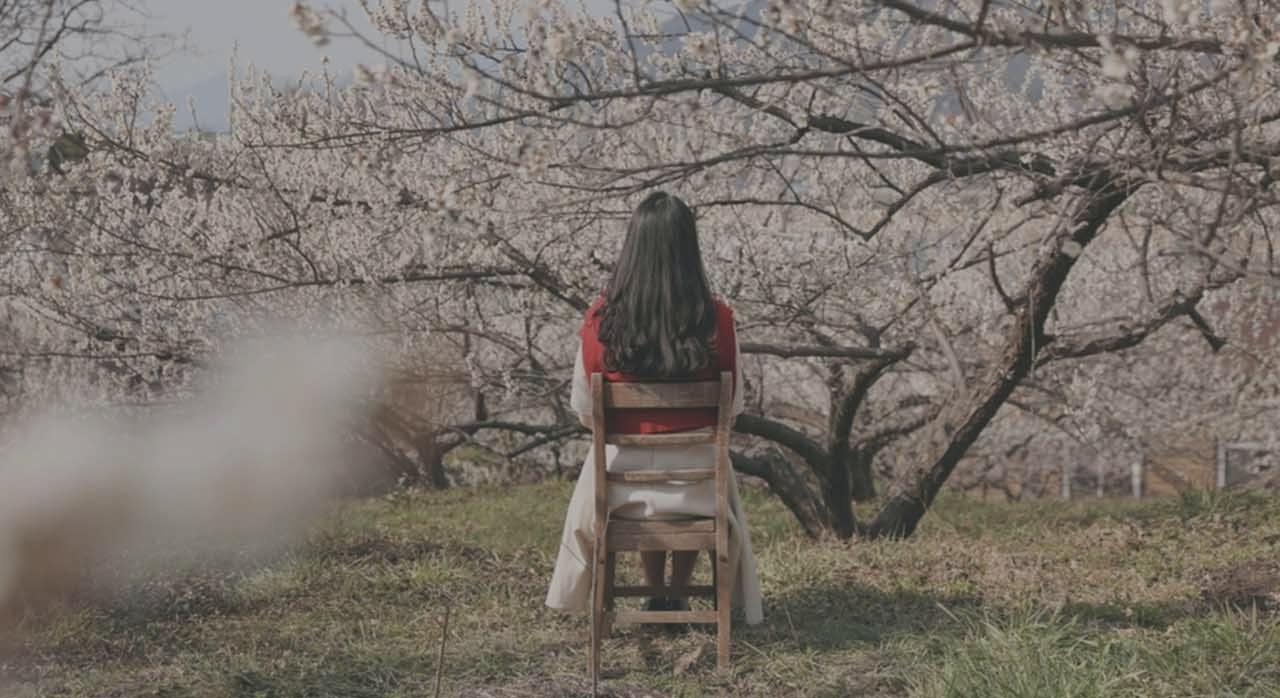 하얗게 피어난 매화 꽃 아래에서 사진을 찍는 여행객의 모습. [ⓒ한국관광 콘텐츠랩]