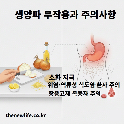 생양파 부작용과 주의사항을 안내하는 이미지로, 생양파를 자르는 장면과 위 자극·역류성 식도염·항응고제 복용 주의에 대한 설명 그래픽