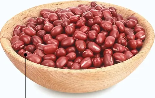 유로디에트 코어빈 내돈내산 후기 효과 부작용 복용법 가격