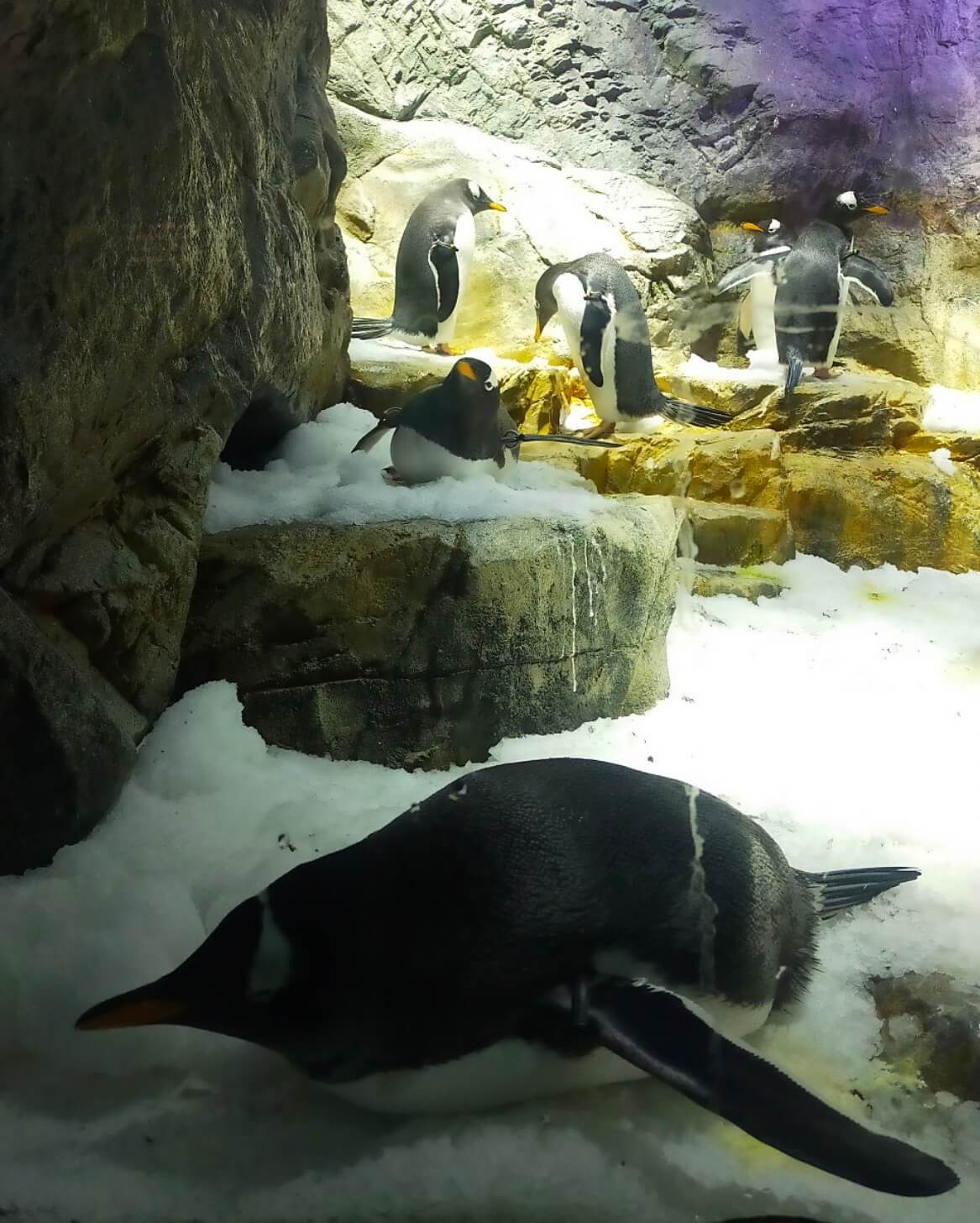 오사카 가족여행 추천코스 (아이와 가기 좋은 실내·야외 BEST 7)관련사진