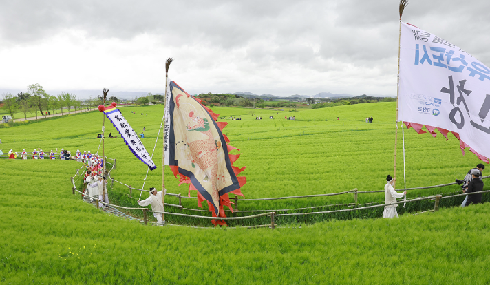 2025 고창 청보리밭 축제 기간