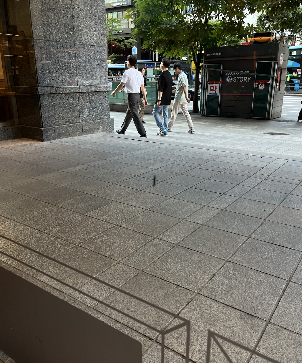 러브버그 퇴치 방법