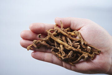 둥글레차 효능&amp;#44; 종류&amp;#44; 재배기간&amp;#44; 부작용등을 알아봤습니다. 둥글레차는 흔하게 먹는 차 종류에 속하지만 카페인이 있어서 조심해야 할 부분도 있습니다. 글을 참고해주세요!