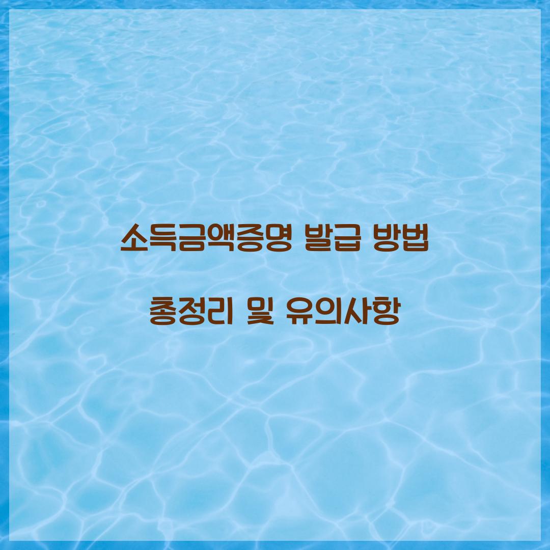 소득금액증명 발급