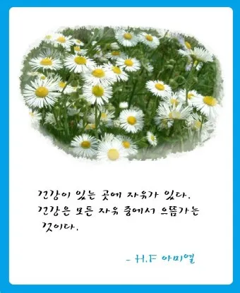 아미엘의 생애 명언 인생 속담_27