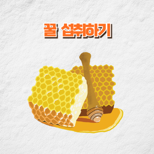 면역력 높이는 방법