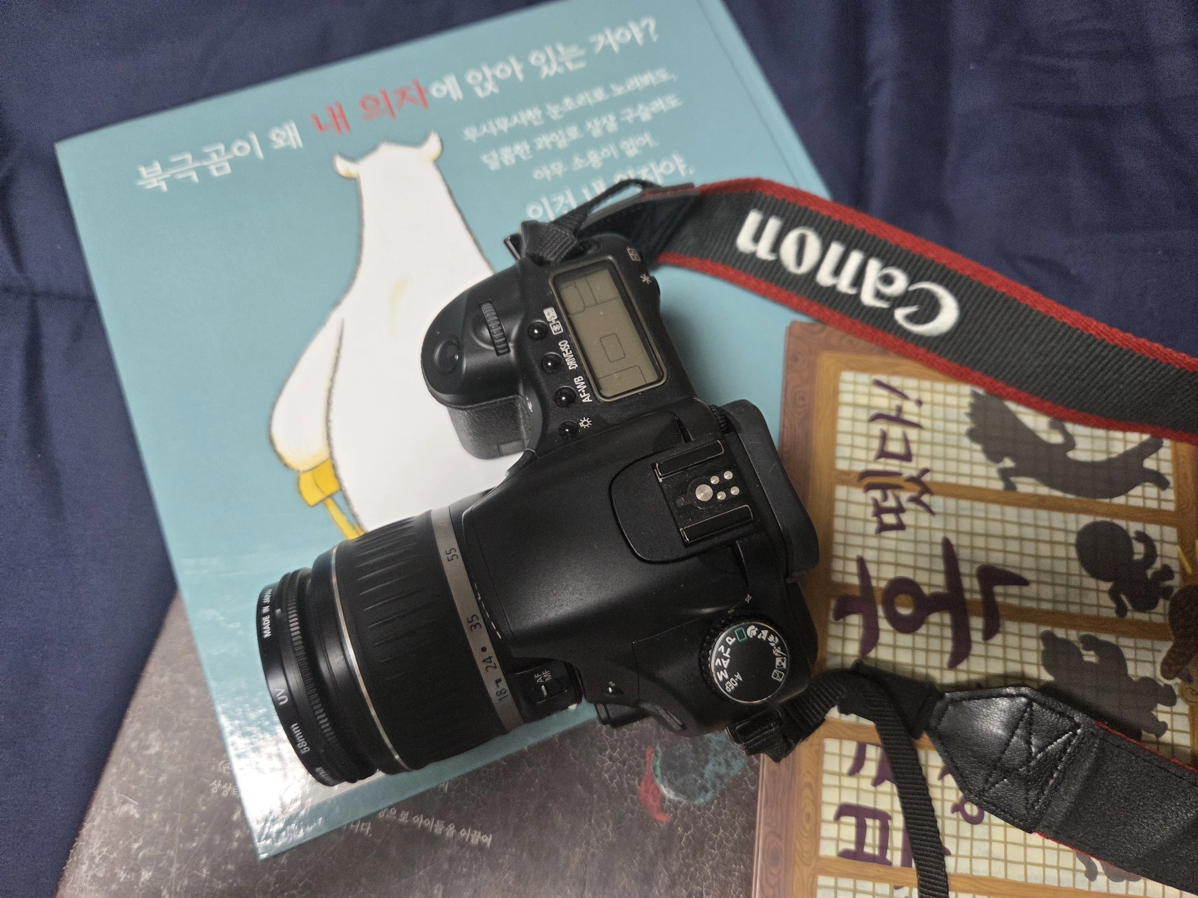 촬영하지 않은 날들이 사진가의 관찰력을 바꾼다 – EOS 30D 경험