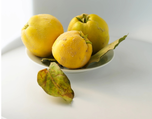 모과의 효능과 부작용, 모과 칼로리, 모과차 만드는법, 모과 수확시기