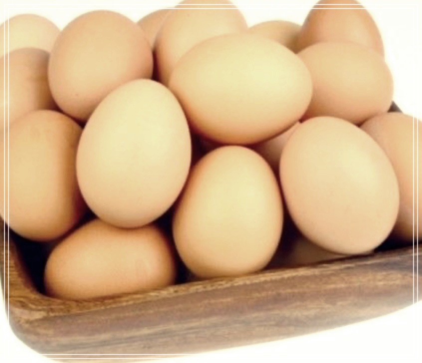 삶은 계란 효능, 꾸준히 섭취하면 이런 좋은 점이!