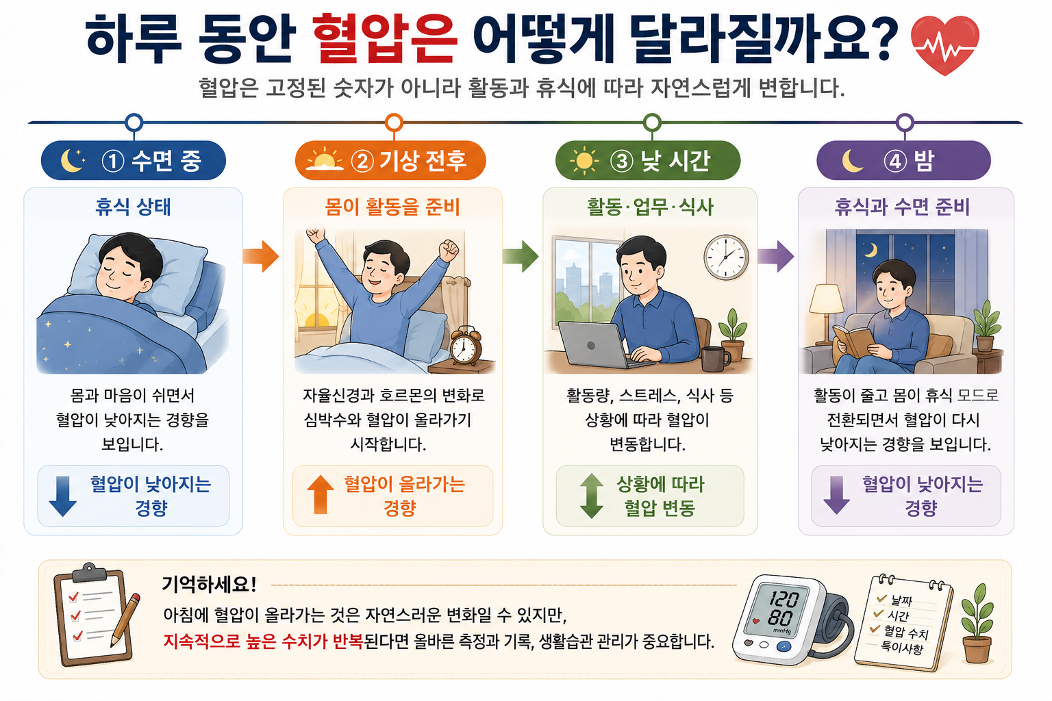 수면, 기상, 낮 활동과 밤 휴식에 따른 혈압 변화 설명