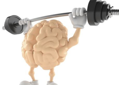 멘탈 피트니스 뇌 가소성 아침 습관 수면의 질