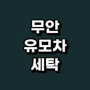 무안군 유모차 세탁