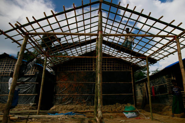 동물 흔적 활용, 짐승 피해 은신체 위치 선정 팁