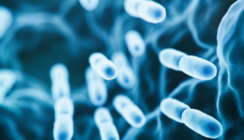 프로바이오틱스