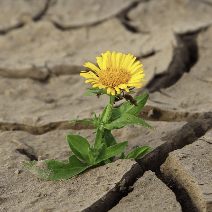2025년 새 정부 공약 주요 정책