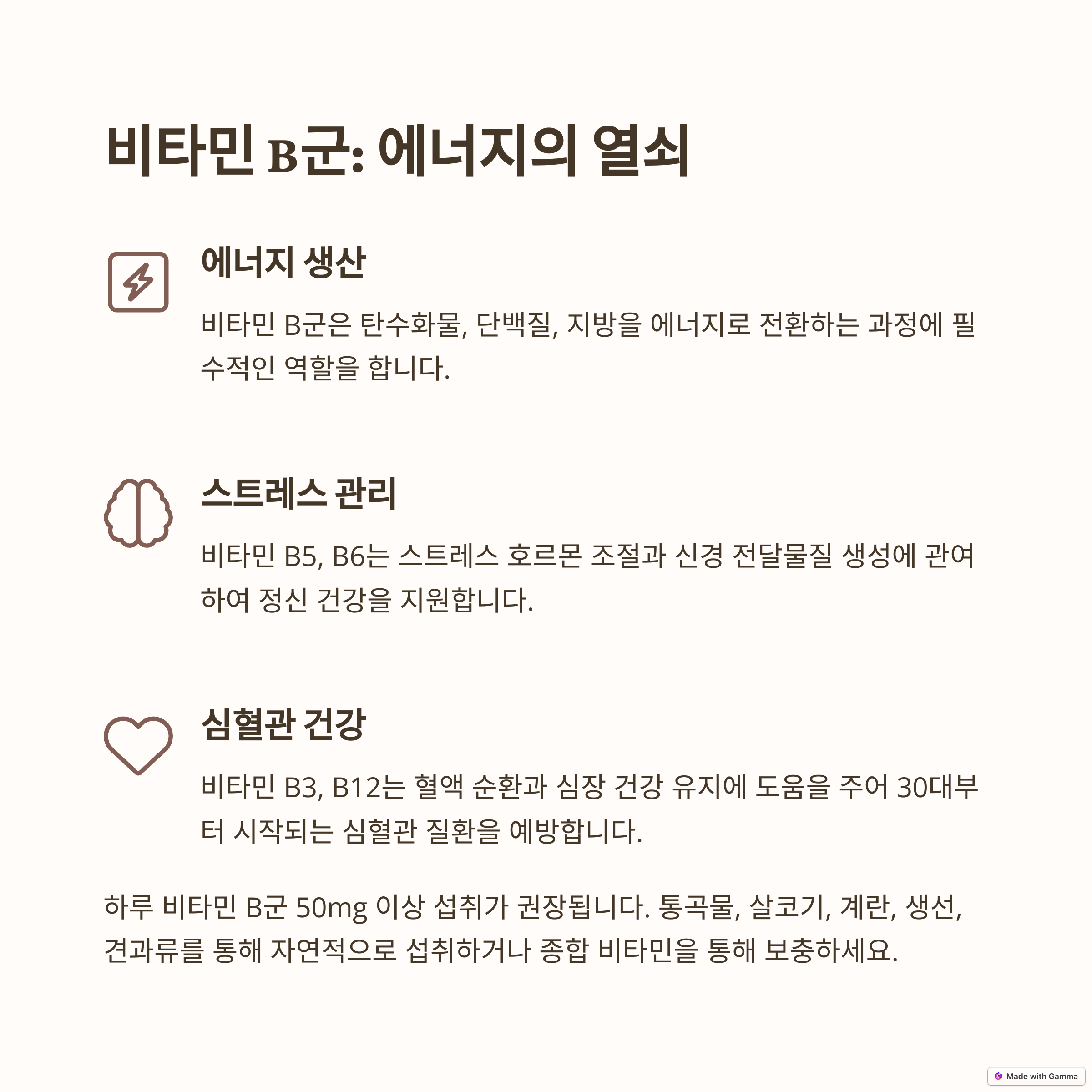 활력 충전! 에너지 대사를 돕는 비타민 B군