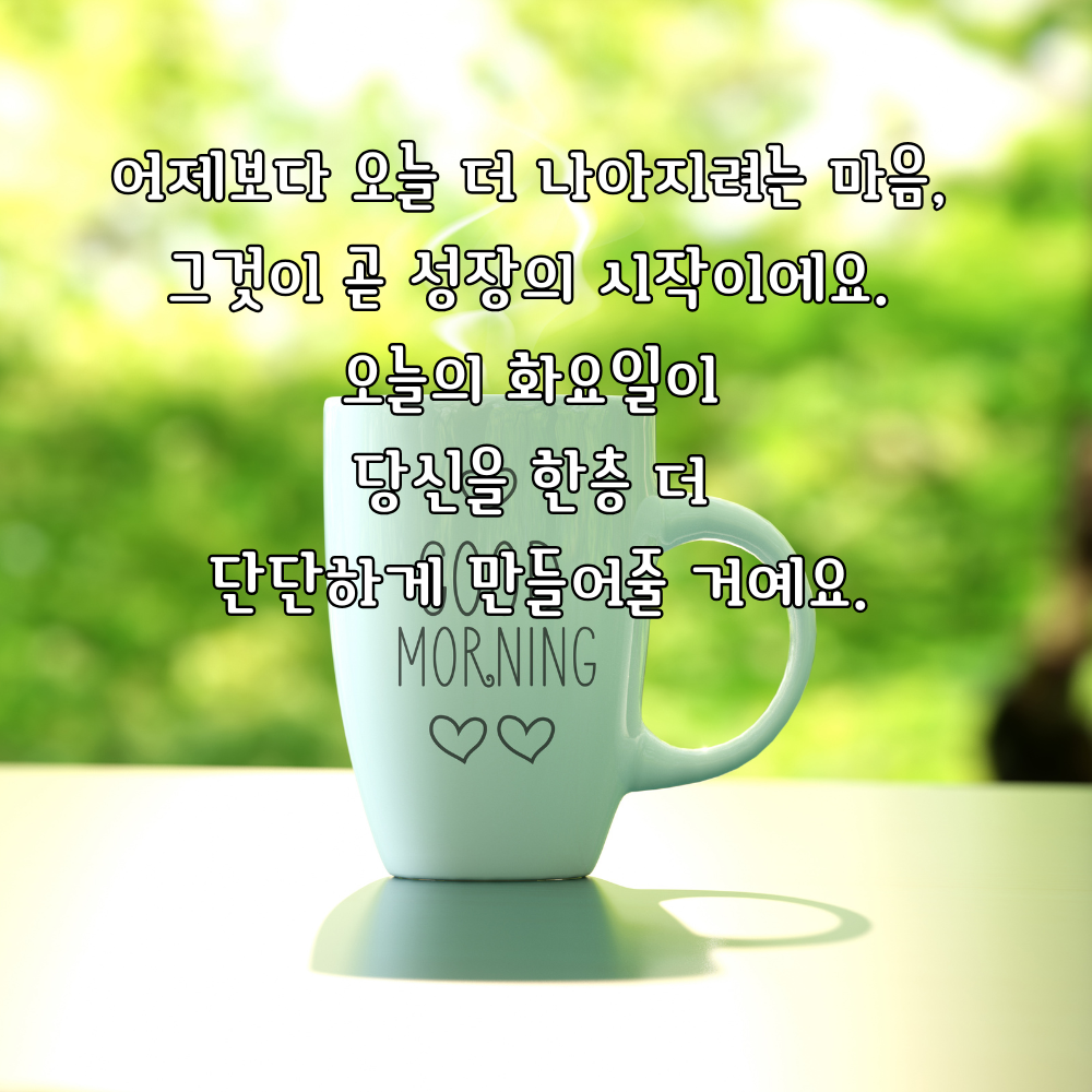 어제보다 나아지는 하루를 응원하는 화요일 글귀