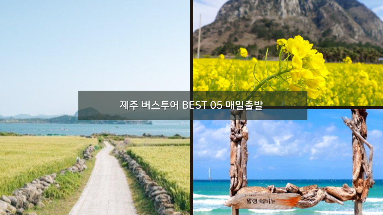 제주 버스투어 핫플버스 관광투어 버스 추천 BEST 05 할인쿠폰 + 매일출발