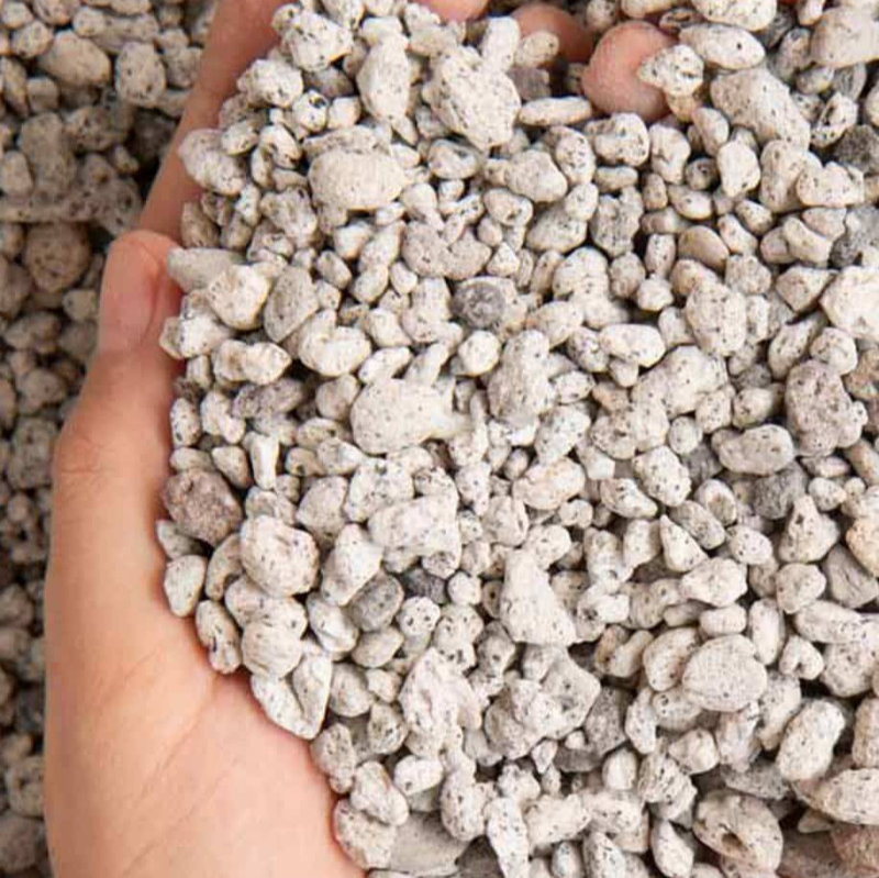 다육식물 분갈이 추천 배양토